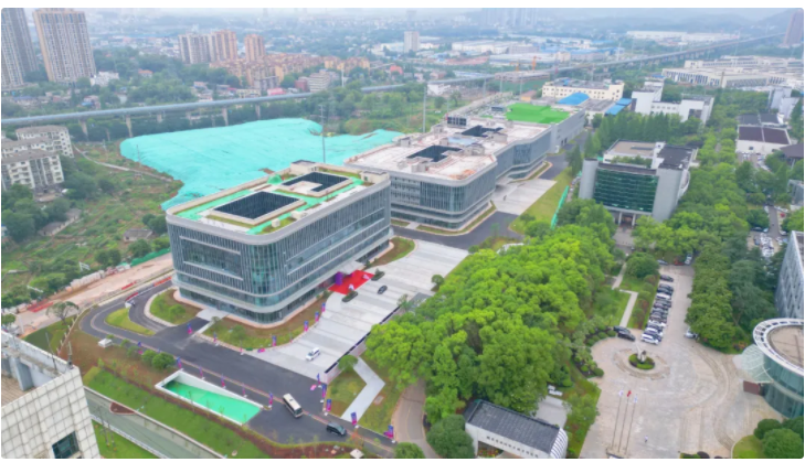 1717568782578087135.png image.png