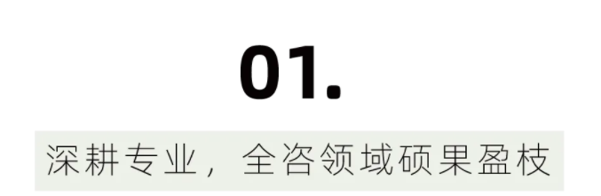 1744093981790003311.png image.png